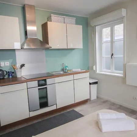 Apartment Centre - And Functional Lille