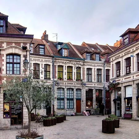 Apartment Centre - And Functional Lille